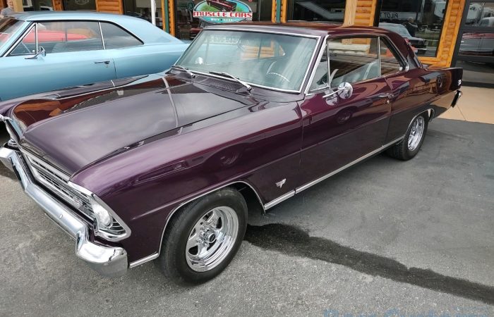JUST ARRIVED - 1967 Chevrolet II Nova SS - 118 VIN - 4 Speed - $57,900